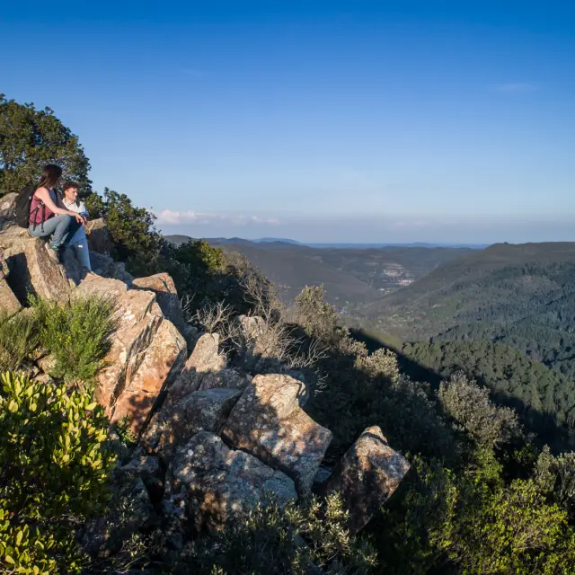 Pic Arbousse Mai 2023 Olivier Octobre Bd 11