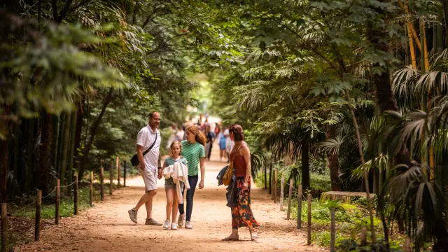 Bambouseraie Olivier Octobre Photographer Bd 10