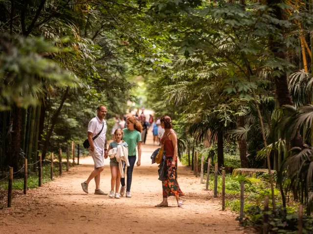 Bambouseraie Olivier Octobre Photographer Bd 10