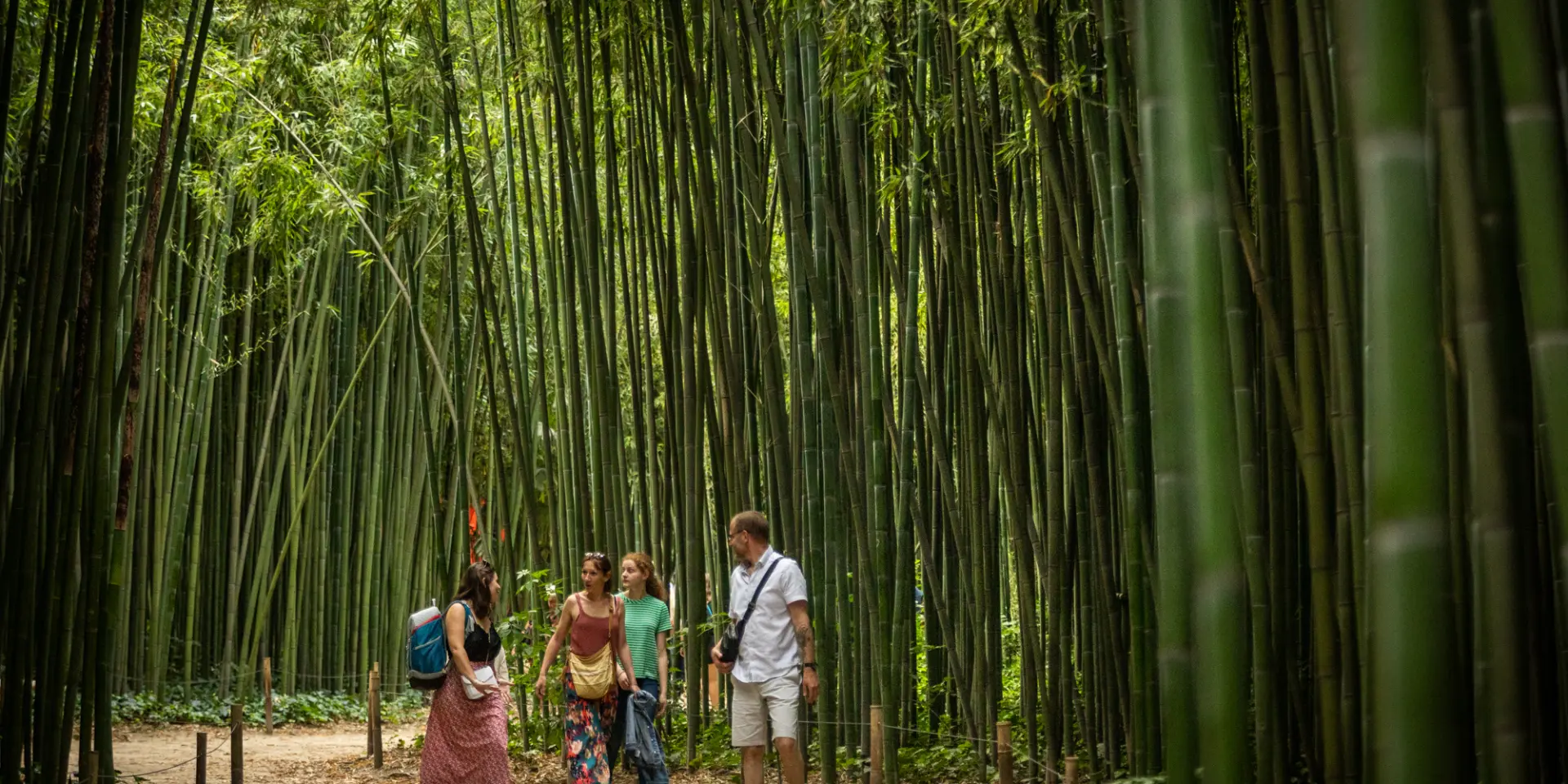 Bambouseraie Olivier Octobre Photographe Bd 20