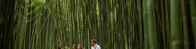 Bambouseraie Olivier Octobre Photographe Bd 20