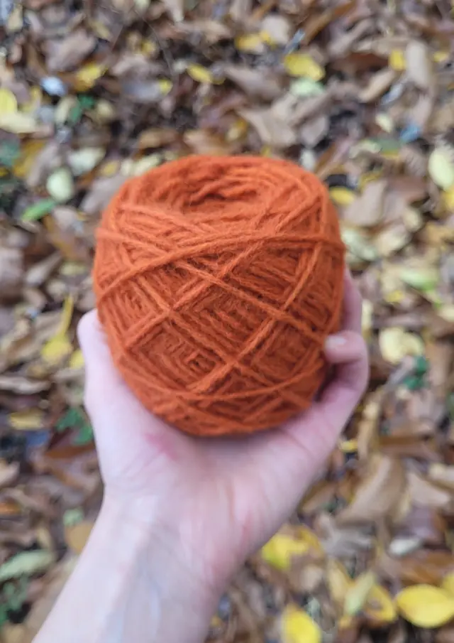 Projet Barbiche 1 Rotated