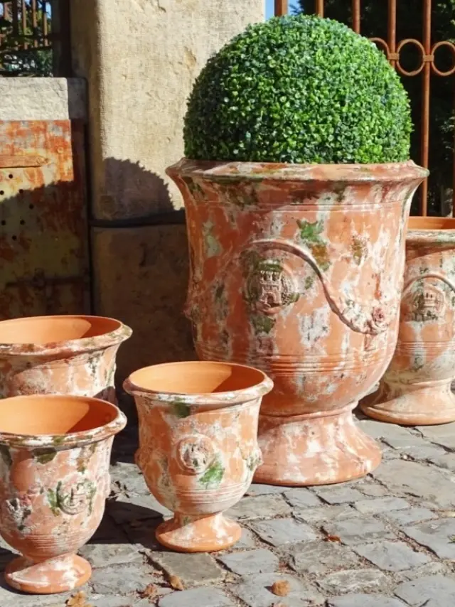 Les Terres Anciennes 3