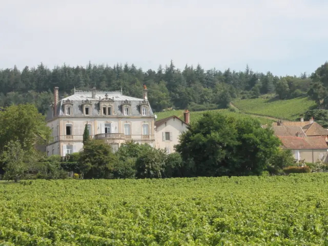 Mercurey Vineyard tour 2021 Jm 28