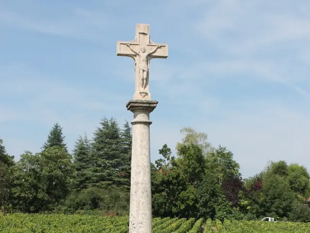 Mercurey Visite Vignoble 2021 Jm 22 Rotated