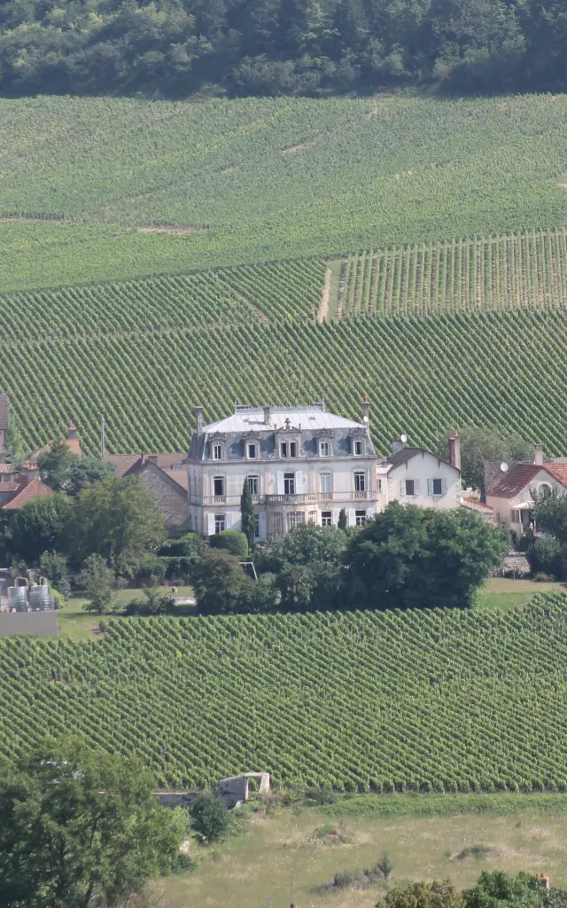 Mercurey Weinbergbesuch 2021 Jm 16