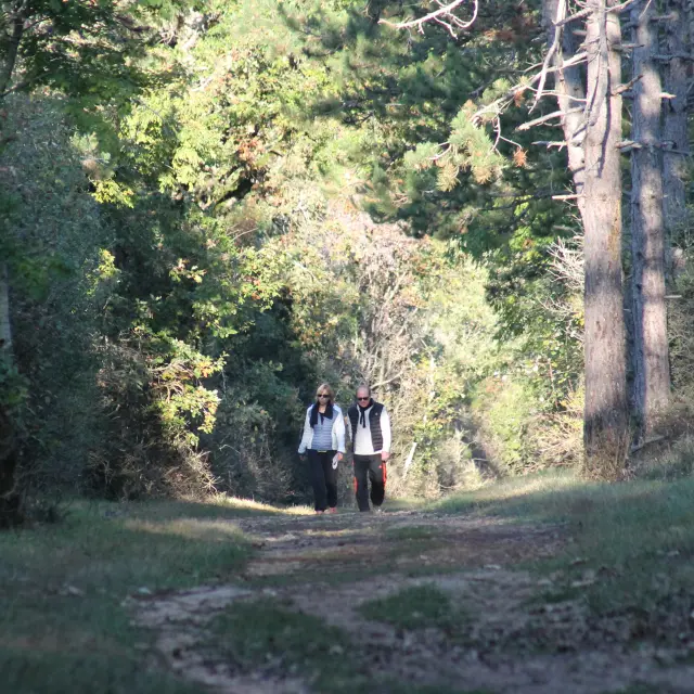 Givry Automne 2020 Randonnee Jm