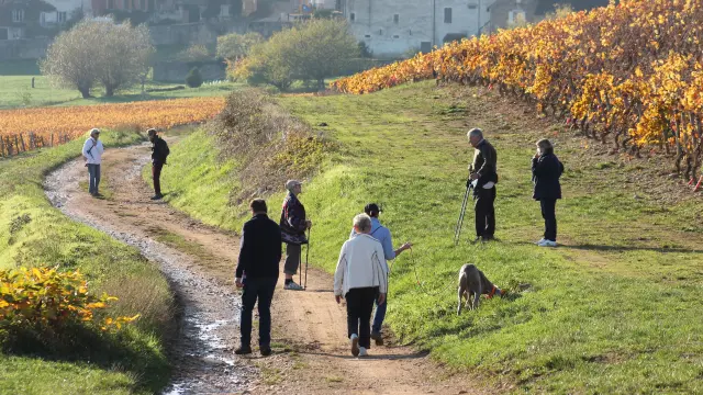 Givry Automne 2020 Randonnee Jm 117
