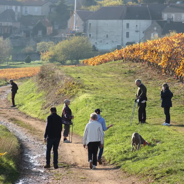 Givry Automne 2020 Randonnee Jm 117