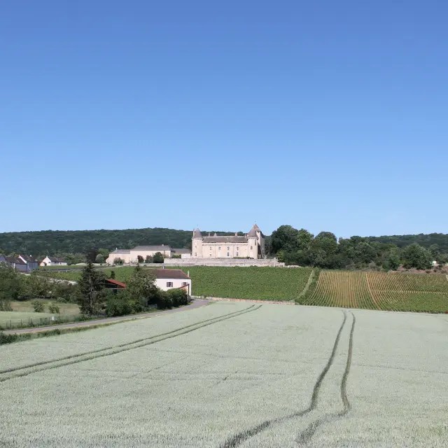 Chateau Rully 4