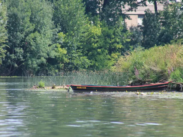 Fluvial Chalon Saone Jm 48