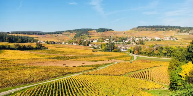 Cote Chalonnaise Automne Jm