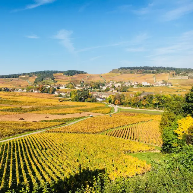 Cote Chalonnaise Automne Jm