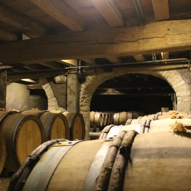 Cave Cote Chalonnaise Jm 1