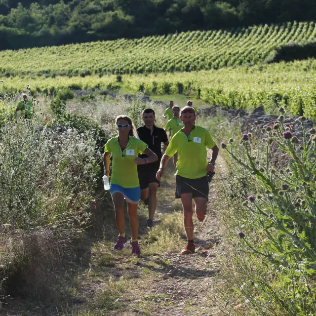 Marathon Des Vins De La Cote Chalonnaise