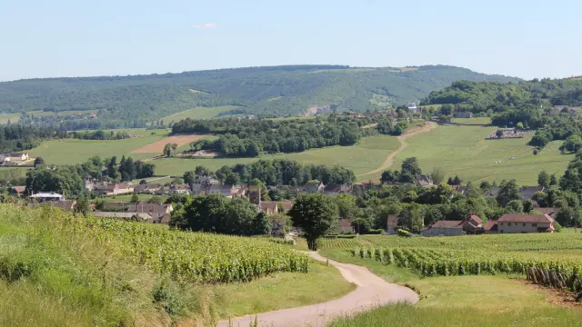 Mercurey Vignes Juni 2016 15