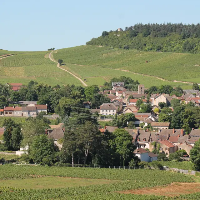 Mercurey Vignes et village