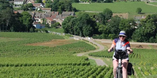 Mercurey Vignes Juni 2016 58