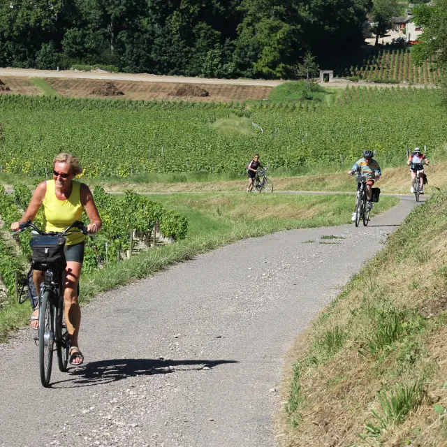 Route Des Grands Vins Touches