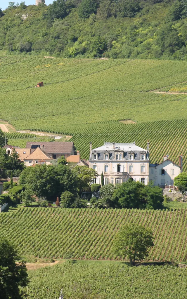 Route Des Vins Cote Chalonnaise Mercurey