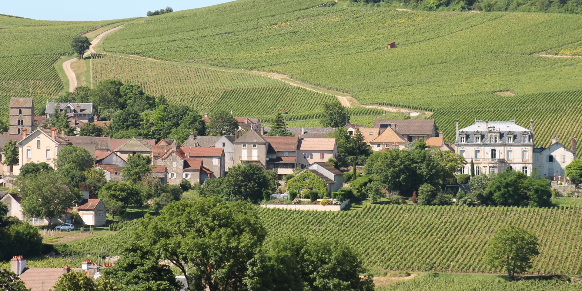 Route Des Vins Cote Chalonnaise Mercurey