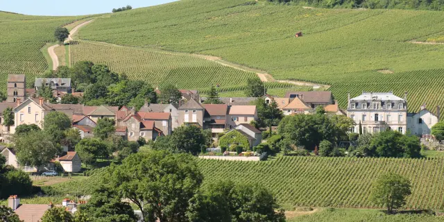 Route Des Vins Cote Chalonnaise Mercurey