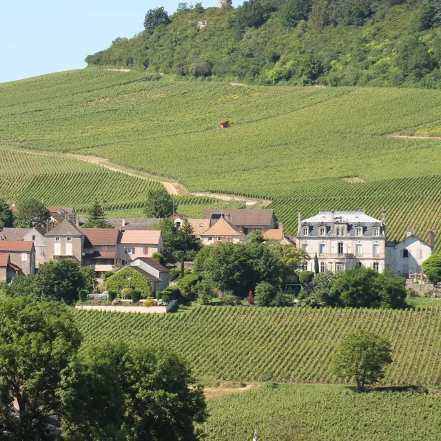 Route Des Vins Cote Chalonnaise Mercurey