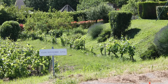 Vignobles Cote Chalonnaise