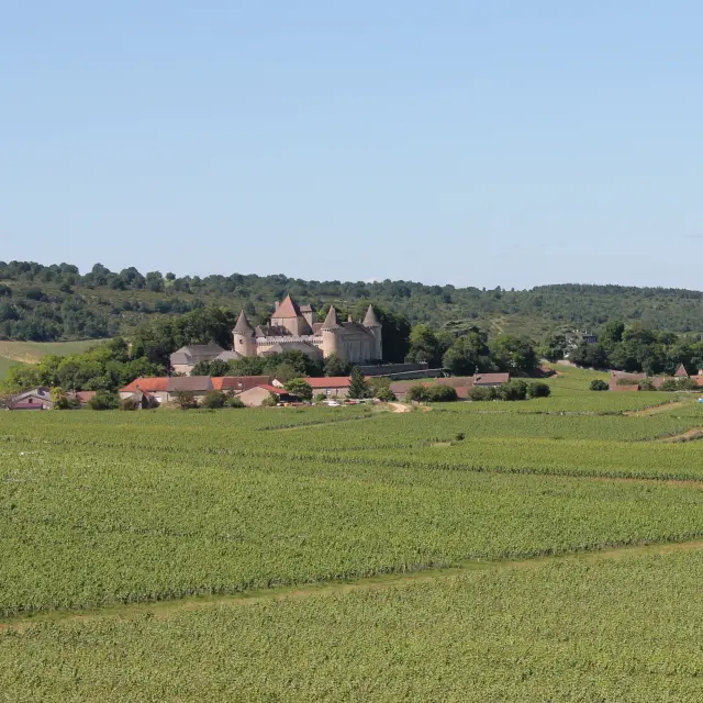 Rully Chateau Vignes Juin 2016 1