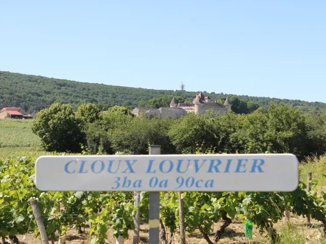 Rully Parcelles Chateau Vignes