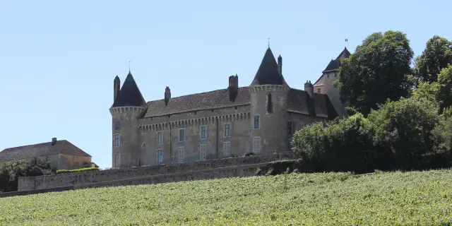 Rully Chateau Vignes Juin 2016 65