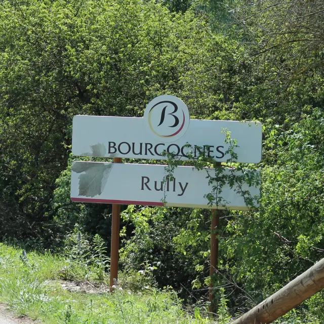 Route Grands Vins Cote Chalonnaise Rully
