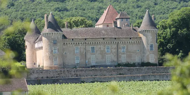 Rully Chateau Vignes June 2016 28