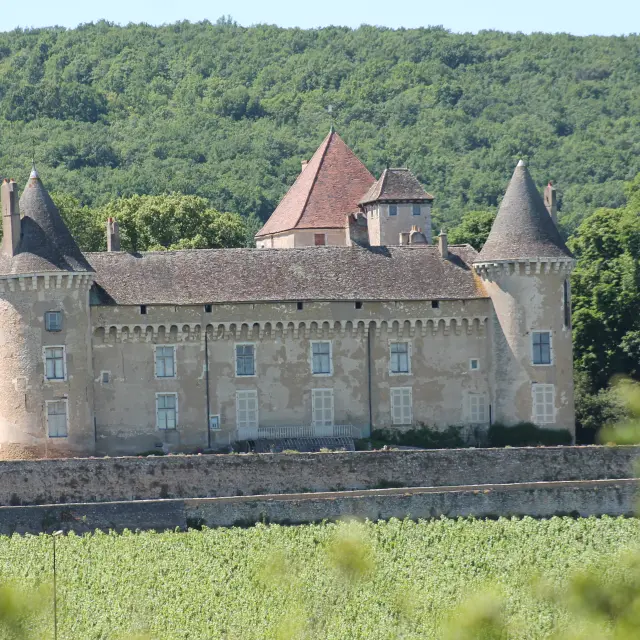 Rully Chateau Vignes Juin 2016 28