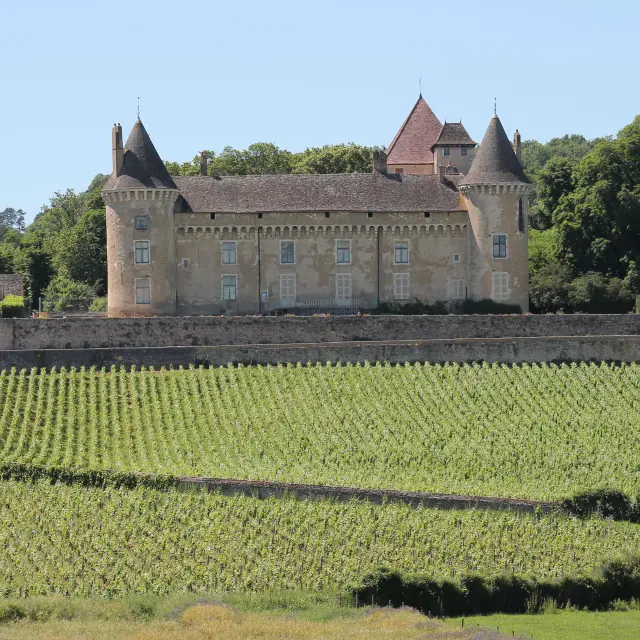 Rully Chateau Vignes Juni 2016 35