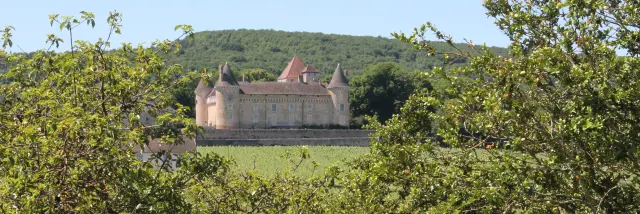 Rully Chateau Vignes