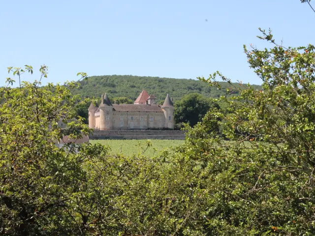 Rully Chateau Vignes Juni 2016 25