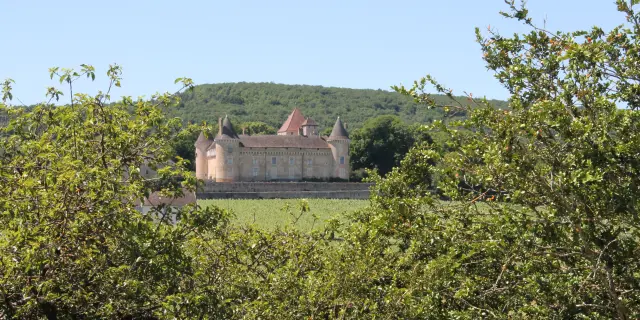 Rully Chateau Vignes June 2016 25