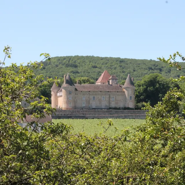Rully Chateau Vignes Juni 2016 25