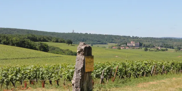 Rully Chateau Vignes 2