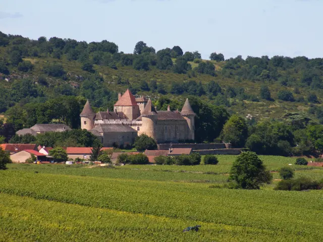 Rully Chateau Vignes Juin 2016 17