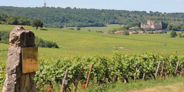 Rully Chateau Vignes Juin 2016 8