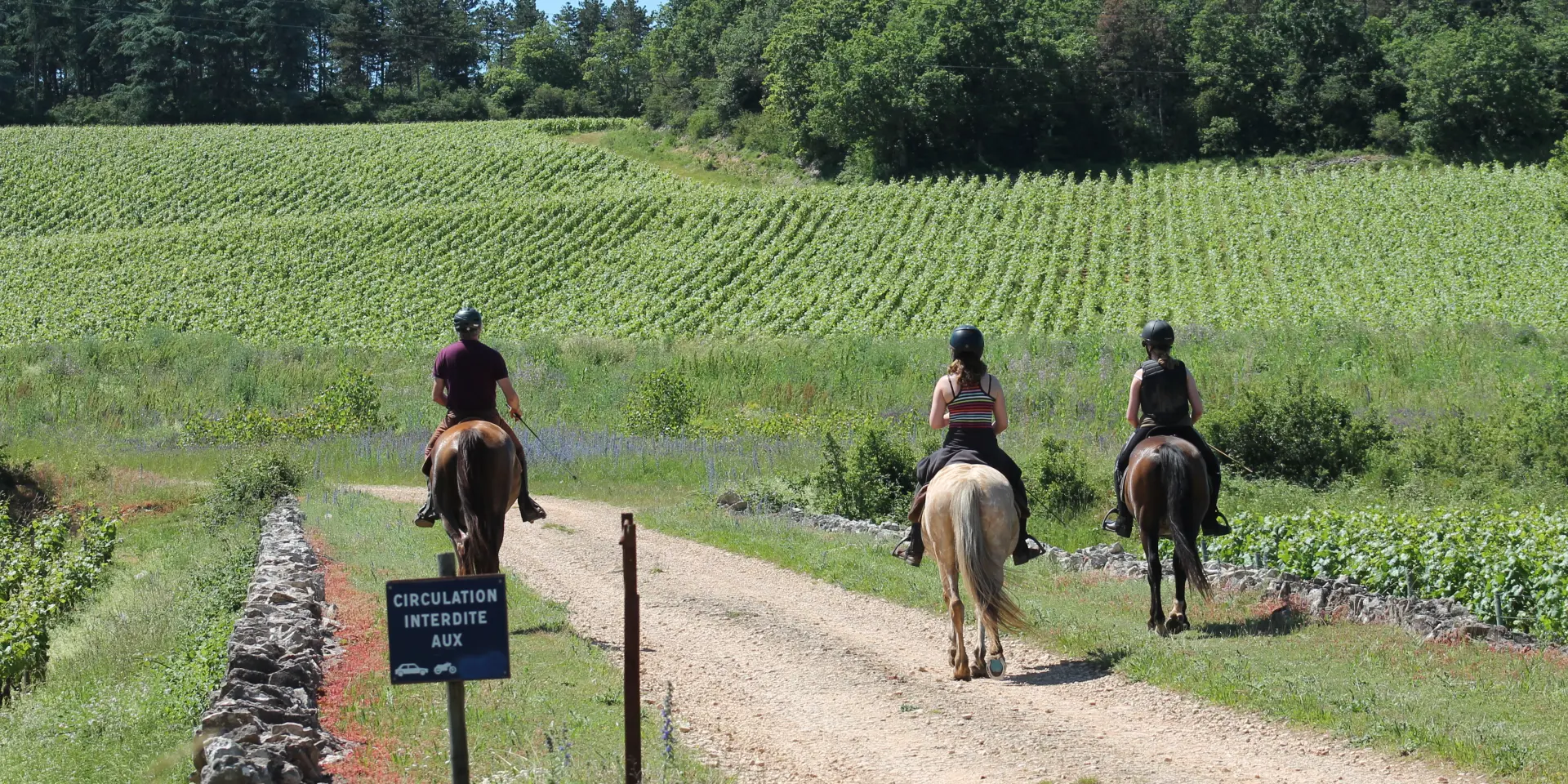 Rully balade à cheval
