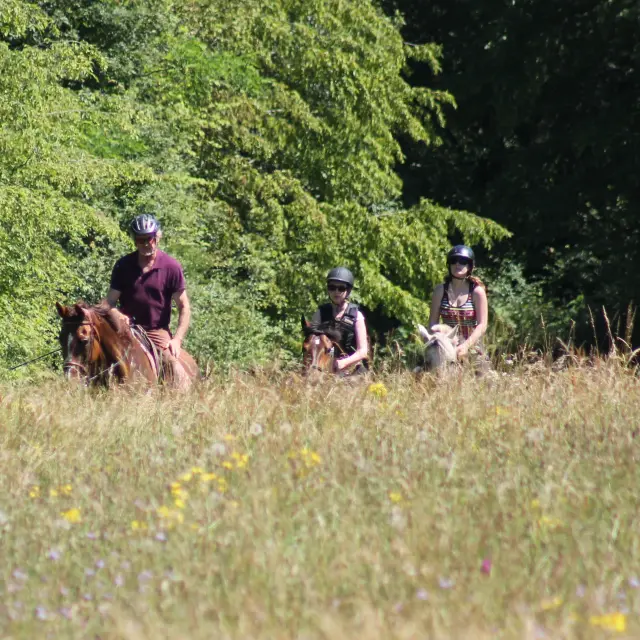 Rully Promenade Randonnee Cheval