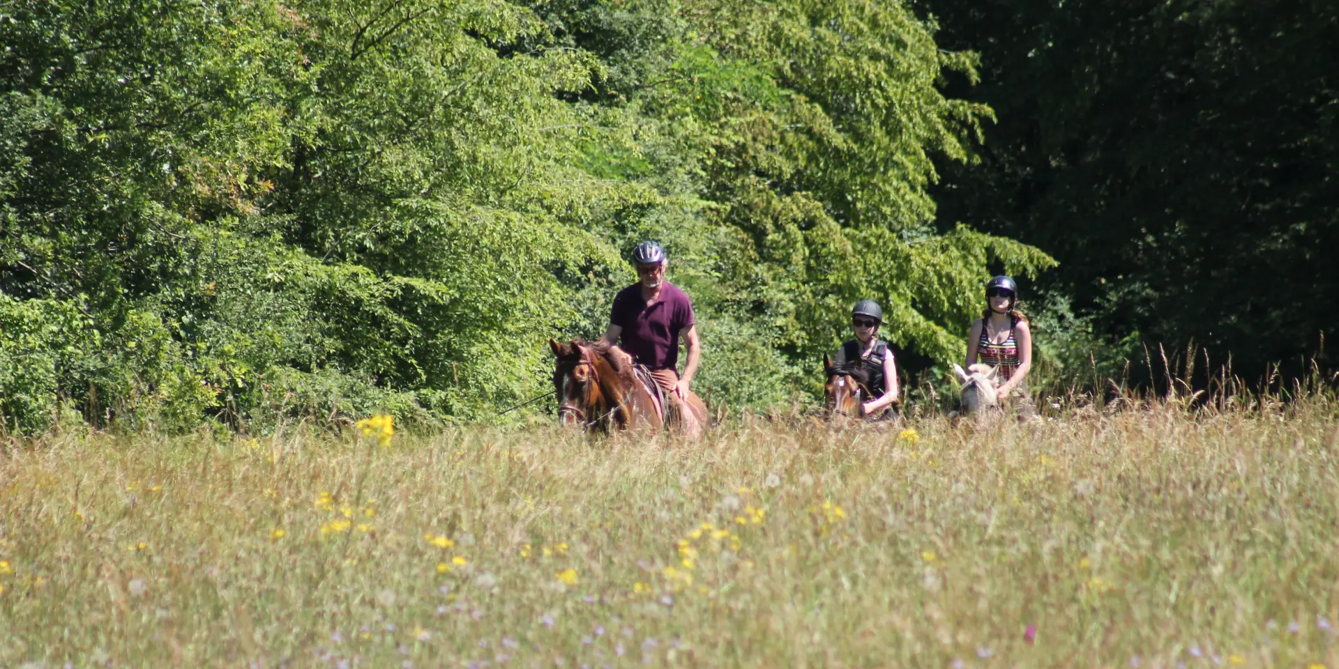 Rully Promenade Randonnee Cheval