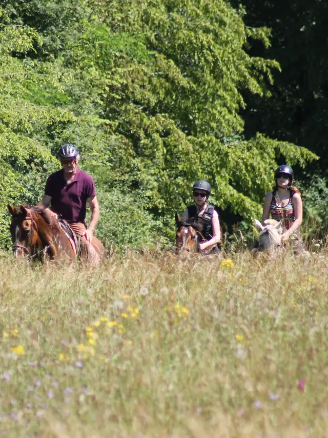 Rully Promenade Randonnee Cheval