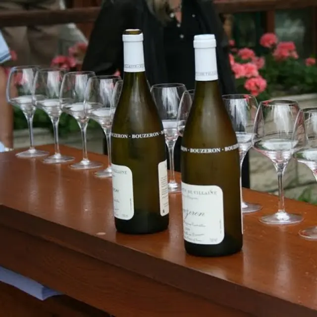 Degustation Vins Cote Chalonnaise