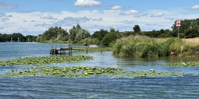 Chalon Sur Saone Fluvial 2023 Jm 51