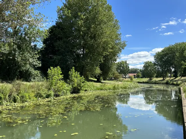 Marina Chalon Sur Saone 2023 5