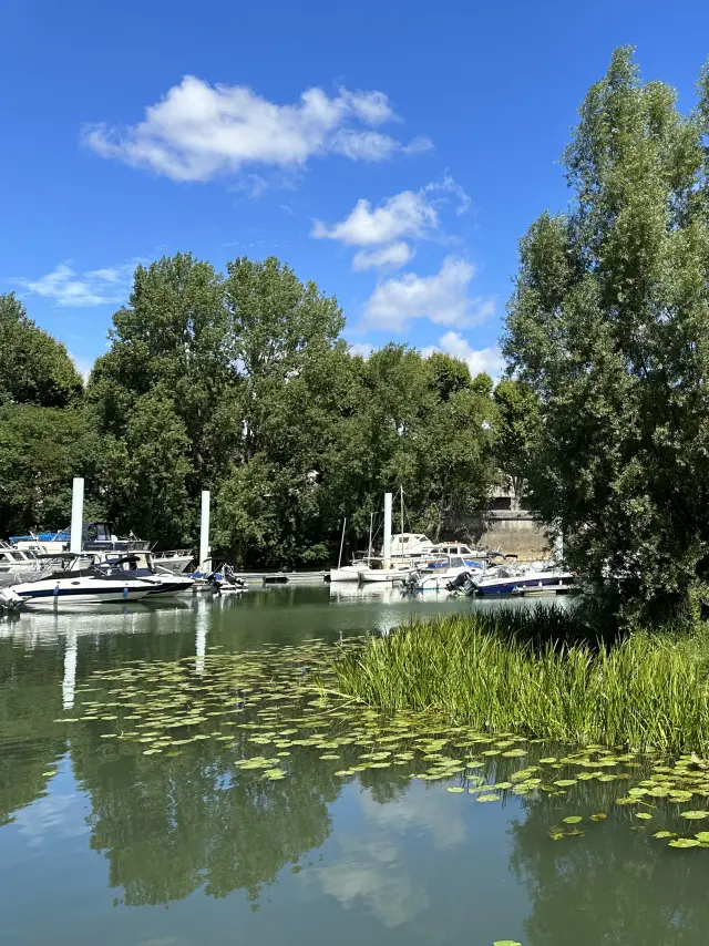Port De Plaisance Chalon Sur Saone 2023 10